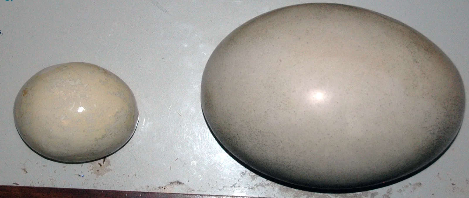 Model ostrich egg, left, beside a far larger model elephant bird egg, museum photograph, native colour; both smooth and pale.
