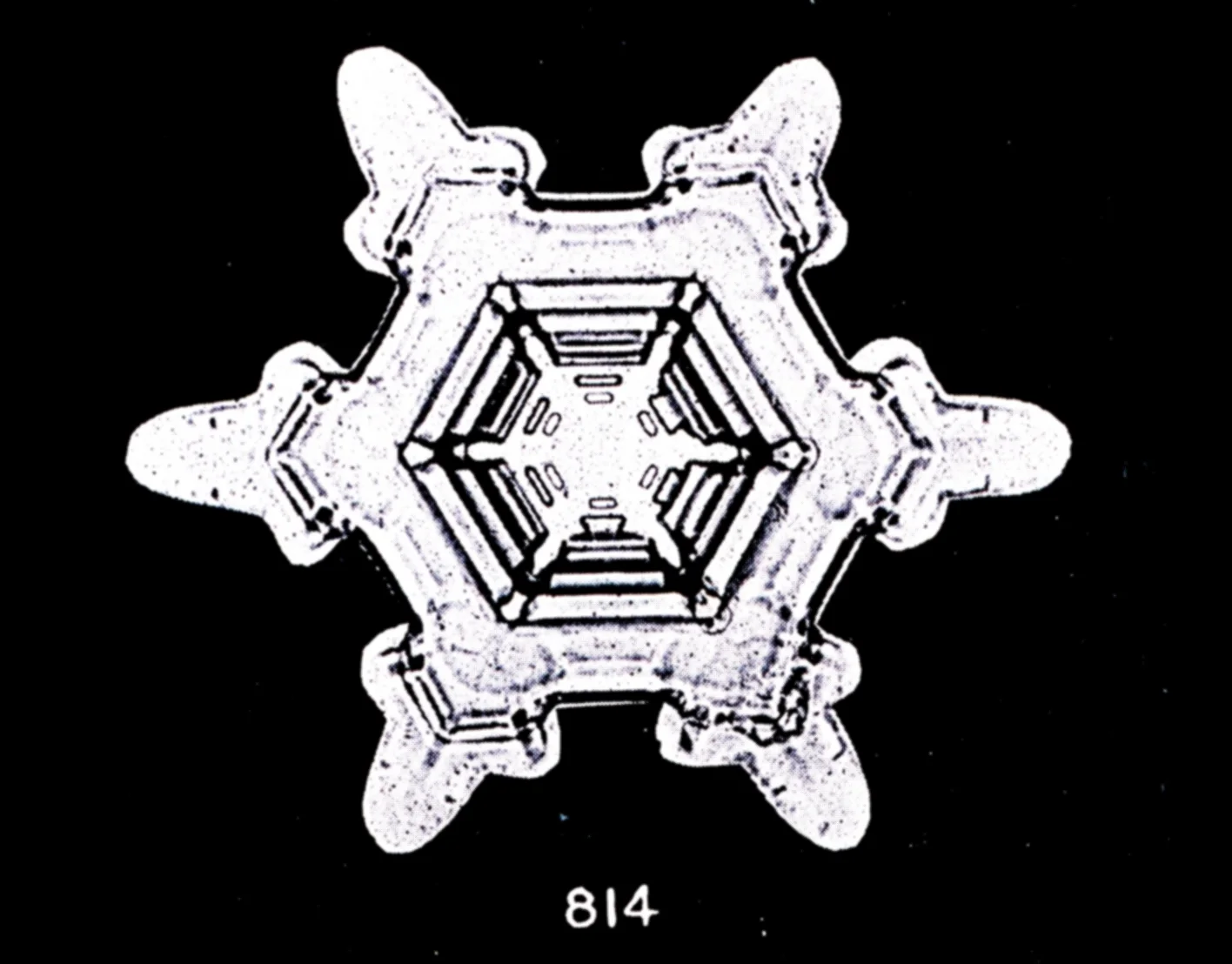 Snow crystal photographed by Wilson Bentley, printed white on black, 1902, no scale; a hexagonal plate with a short, rounded arm at each corner.