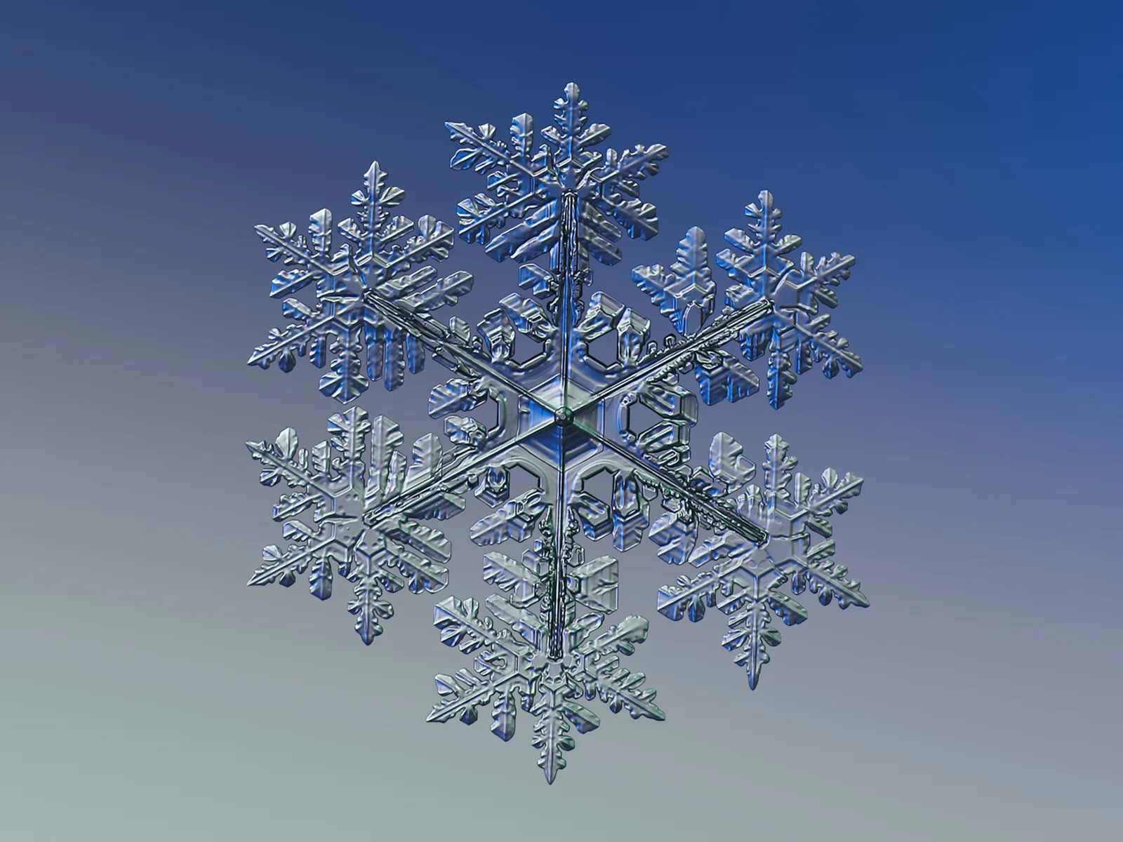 Six-armed snow crystal on a blue-grey background, macro photograph, no scale; each arm carries closely matching side branches.