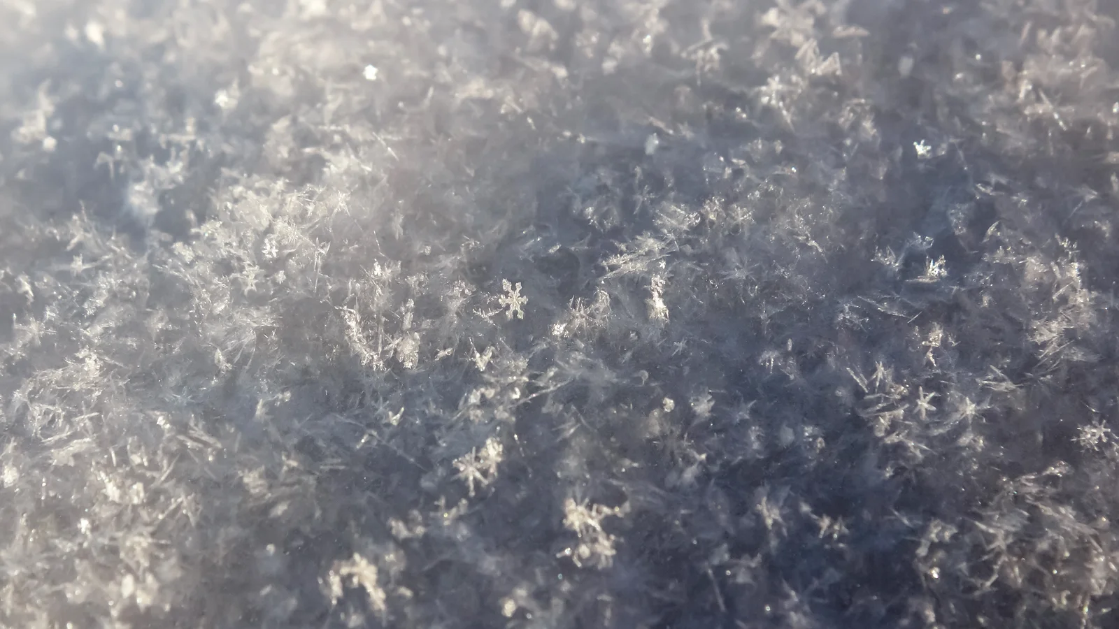 Newly fallen snow crystals on old frost at about −15 °C in Sweden, outdoor photograph, no scale; a few small six-armed stars in focus.