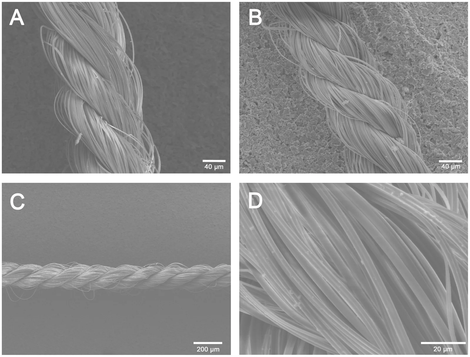 Spider silk fibres about 2 µm across, scanning electron micrographs, no color; hundreds of fibres twisted into braided sutures.