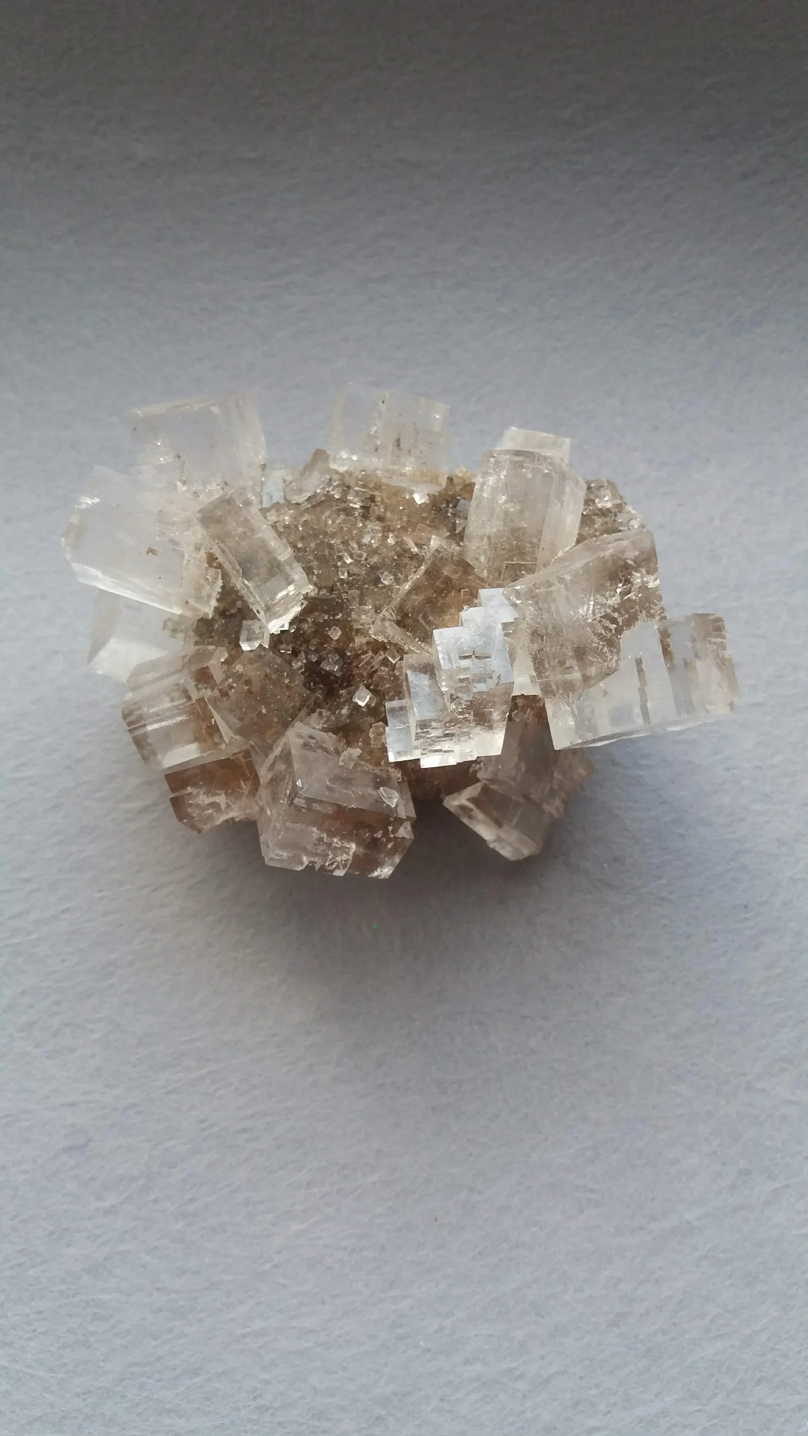 Halite crystals on a matrix of smaller crystals, no scale given; photograph, natural color; clear blocks whose flat faces meet at right angles.