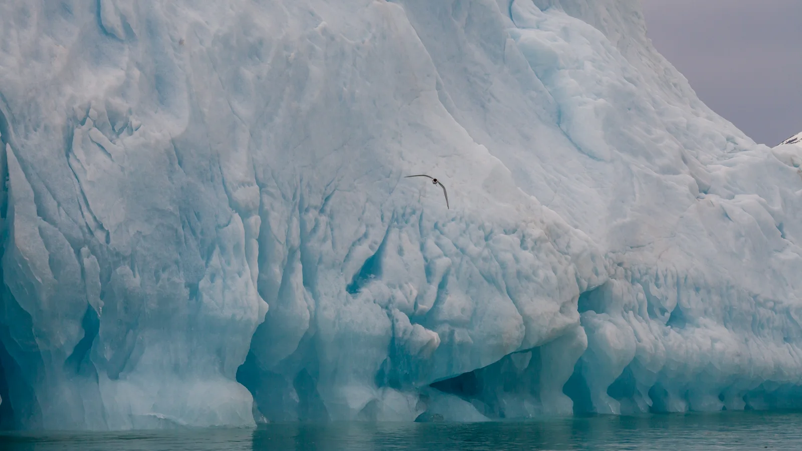 Tilted iceberg in Liefdefjord, Svalbard, photographed in 2015; a sloping line marks its former waterline, so once-submerged ice shows above the sea.